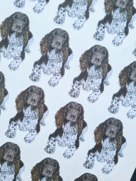 Custom Shape Sticker Sheets